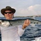 Video Blog: Barracuda with Underwater Video