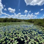 Off the Grid: Python Hunting in the Everglades