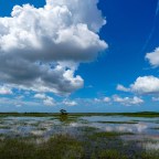 Off Roading in Big Cyprus National Preserve