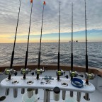 Fishing Report: Offshore Sail fishing