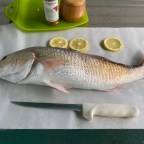 Catch & Release and Sometimes Keep