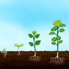 thank you … we’re growing