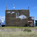 The Sights, Sounds and Smells of Homer, AK … A Fishing Town