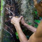 My Amazon trip: not just fishing and jungle Adventure