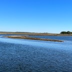 St. Marks National Wildlife Refuge