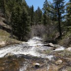 Fishing in the Pecos Mountains in New Mexico