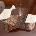 Alaskan Gifts for the Whole Family