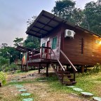 Escaping Civilization: My Week in a Remote Jungle Cabin