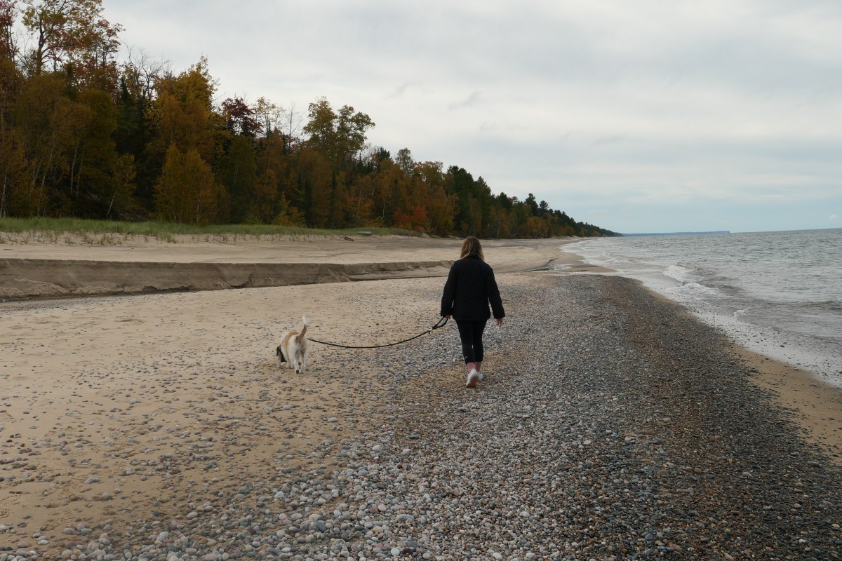 2023 Adventures in Review