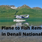 Video Blog: Float plane trip to  remote Coffee Creek