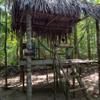 Unveiling the Dark History of Life on a Rubber Planation