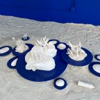 Dive in … immersive art  exhibition depicting climate impact on coral reefs