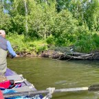 In Pursuit of Arctic Graylings