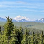 Denali National Park: Part 1