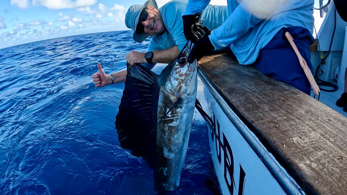 A Year in Fish: 2023